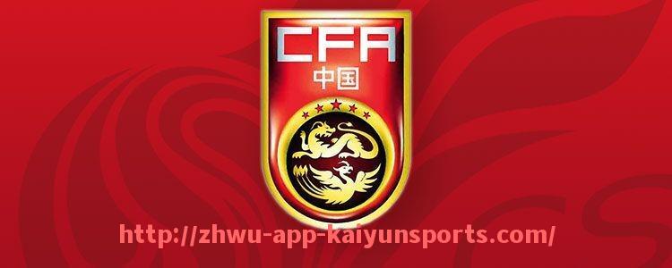 开云体育app下载-2024年法甲外援赛季总结及整体表现回顾分析